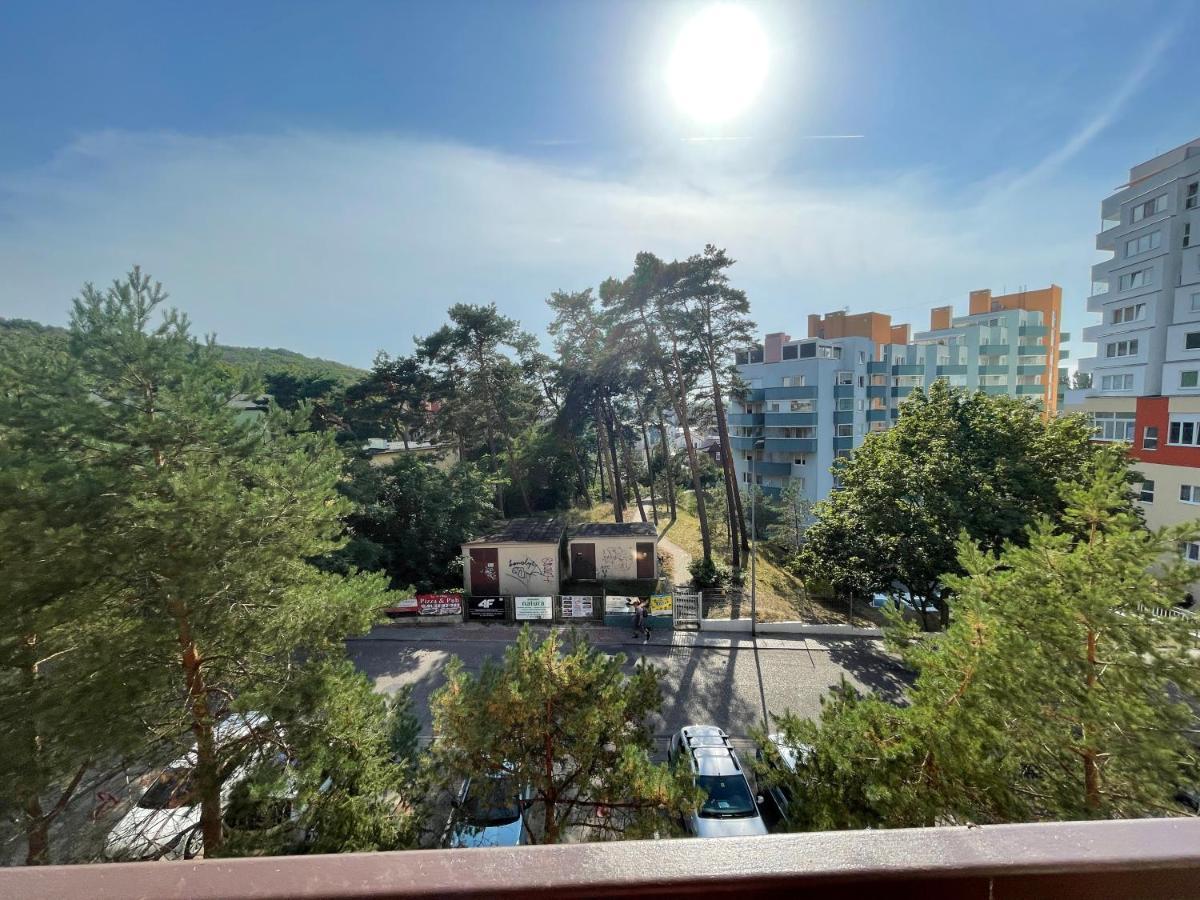 Wolin-Travel Apartament Dom Przy Parku Мендзиздрое Екстериор снимка